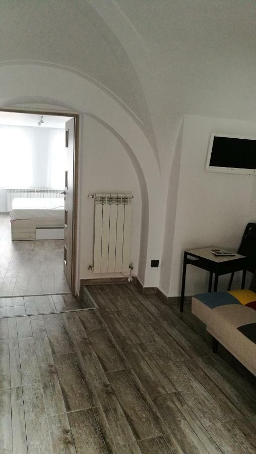 Amedeea'S Apartment シビウ エクステリア 写真